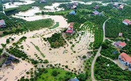 Mưa lũ nhấn chìm hàng nghìn ha lúa, hoa màu ở Bắc Ninh