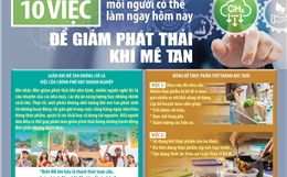 10 việc mỗi người có thể làm ngay hôm nay để giảm phát thải khí mê tan
