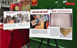 ‘Trạm Đông Hồ’: Điểm hẹn văn hoá giữa lòng phố sách 