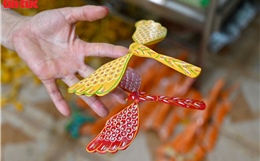 Chuồn chuồn tre ‘lên mạng’