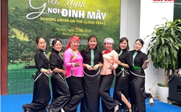 Những ‘bóng hồng’ Sa Pa gieo xanh nơi đỉnh mây