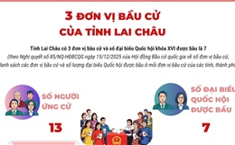 3 đơn vị bầu cử của tỉnh Lai Châu