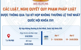 Các luật, nghị quyết quy phạm pháp luật được thông qua tại Kỳ họp không thường lệ thứ Nhất, Quốc hội khóa XVI