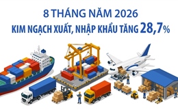 8 tháng năm 2026: Kim ngạch xuất, nhập khẩu tăng 28,7% 