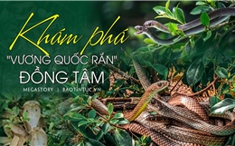 Khám phá &#39;vương quốc rắn&#39; Đồng Tâm