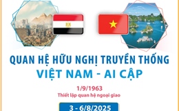 Quan hệ hữu nghị truyền thống Việt Nam - Ai Cập