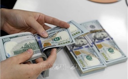 Tỷ giá hôm nay 2/2: Đồng USD và NDT cùng giảm giá