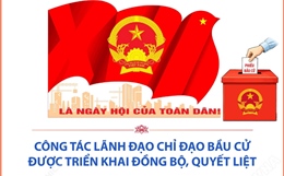 Công tác lãnh đạo chỉ đạo bầu cử được triển khai đồng bộ, quyết liệt