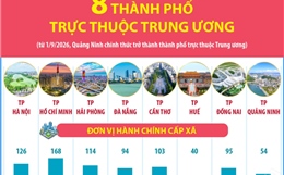 Thông tin về 8 thành phố trực thuộc Trung ương