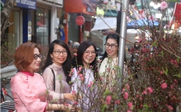 Người dân Thủ đô háo hức đến chợ hoa trăm tuổi ‘chở' Tết về nhà