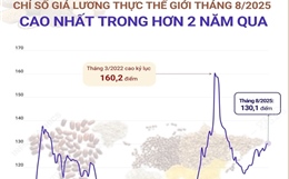 Giá lương thực thế giới tháng 8/2025 cao nhất trong hơn 2 năm qua