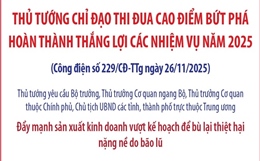 Thủ tướng chỉ đạo thi đua cao điểm bứt phá hoàn thành thắng lợi các nhiệm vụ năm 2025
