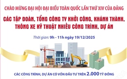 Các tập đoàn, tổng công ty khởi công, khánh thành, thông xe kỹ thuật nhiều công trình, dự án 