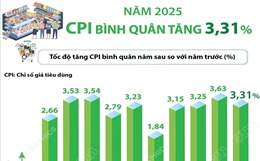CPI bình quân năm 2025 tăng 3,31%