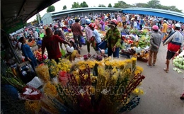 Sắc xuân chợ quê Vị Thanh