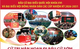 Cử tri hân hoan đi bầu cử sớm