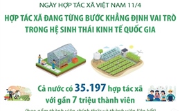 Hợp tác xã đang từng bước khẳng định vai trò trong hệ sinh thái kinh tế quốc gia