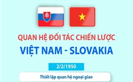 Quan hệ Đối tác chiến lược Việt Nam - Slovakia