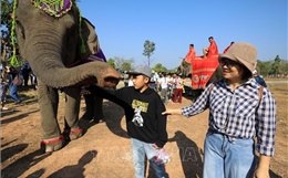 Du lịch thân thiện cùng voi - Bảo tồn để phát triển