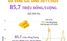 Vàng SJC sáng 20/11/2024 có giá 85,7 triệu đồng/lượng