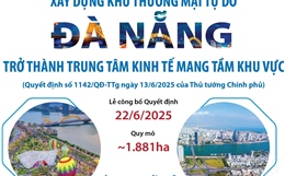 Thông tin về xây dựng Khu thương mại tự do Đà Nẵng