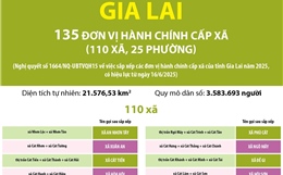 Thông tin chi tiết sắp xếp các đơn vị hành chính cấp xã của tỉnh Gia Lai