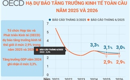 OECD hạ dự báo tăng trưởng kinh tế toàn cầu năm 2025 và 2026