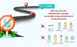 Hà Nội: Lộ trình giảm phát thải nhựa vì tương lai xanh, sạch