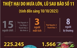 Thiệt hại do mưa lớn, lũ sau bão số 11 (tính đến sáng 10/10/2025)