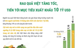 Rau quả Việt tăng tốc, tiến tới mục tiêu xuất khẩu 10 tỷ USD