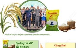 Gạo Ông Cua ST25 lần thứ 3 được vinh danh &#39;Gạo ngon nhất thế giới&#39; năm 2025