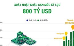 Xuất nhập khẩu cán mốc kỷ lục 800 tỷ USD