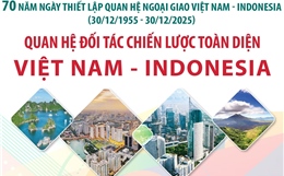 Quan hệ đối tác chiến lược toàn diện Việt Nam - Indonesia