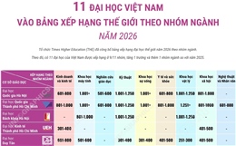 11 đại học Việt Nam vào bảng xếp hạng thế giới theo nhóm ngành