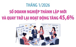 Tháng 1/2026: Số doanh nghiệp thành lập mới và quay trở lại hoạt động tăng 45,6%