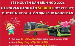 Dịp Tết, Hà Nội vận hành gần 50.000 lượt xe buýt, duy trì nhịp đi lại ổn định cho người dân 