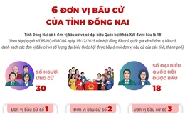 6 đơn vị bầu cử của tỉnh Đồng Nai