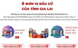 6 đơn vị bầu cử của tỉnh Gia Lai