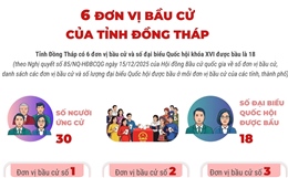 6 đơn vị bầu cử của tỉnh Đồng Tháp