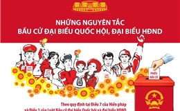 Những nguyên tắc bầu cử đại biểu Quốc hội, đại biểu HĐND 
