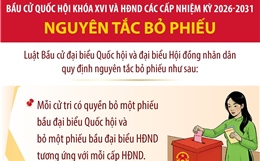 Bầu cử Quốc hội và HĐND: Nguyên tắc bỏ phiếu