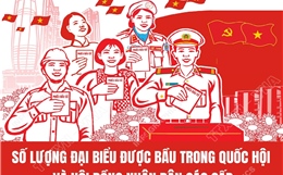 Số lượng đại biểu được bầu trong Quốc hội khóa XVI và HĐND các cấp nhiệm kỳ 2026-2031