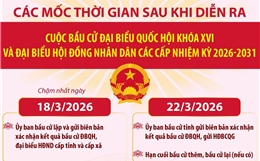Các mốc thời gian quan trọng sau cuộc bầu cử