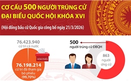 Cơ cấu 500 người trúng cử Đại biểu Quốc hội khóa XVI