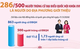 286/500 người trúng cử Đại biểu Quốc hội là người do địa phương giới thiệu