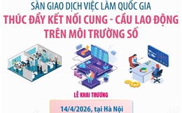 Sàn giao dịch việc làm quốc gia: Thúc đẩy kết nối cung - cầu lao động trên môi trường số