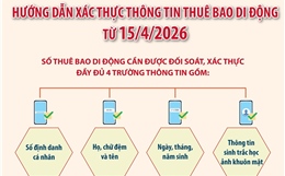 Hướng dẫn xác thực thông tin thuê bao di động từ 15/4/2026