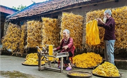 Hành trình của sợi tơ: Từ kén tằm đến đũi thành phẩm