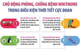 Chủ động phòng, chống bệnh Whitmore trong điều kiện thời tiết cực đoan
