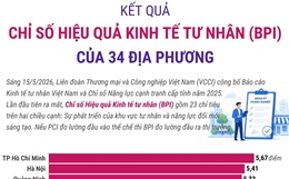 Kết quả Chỉ số Hiệu quả Kinh tế tư nhân năm 2025 của 34 địa phương